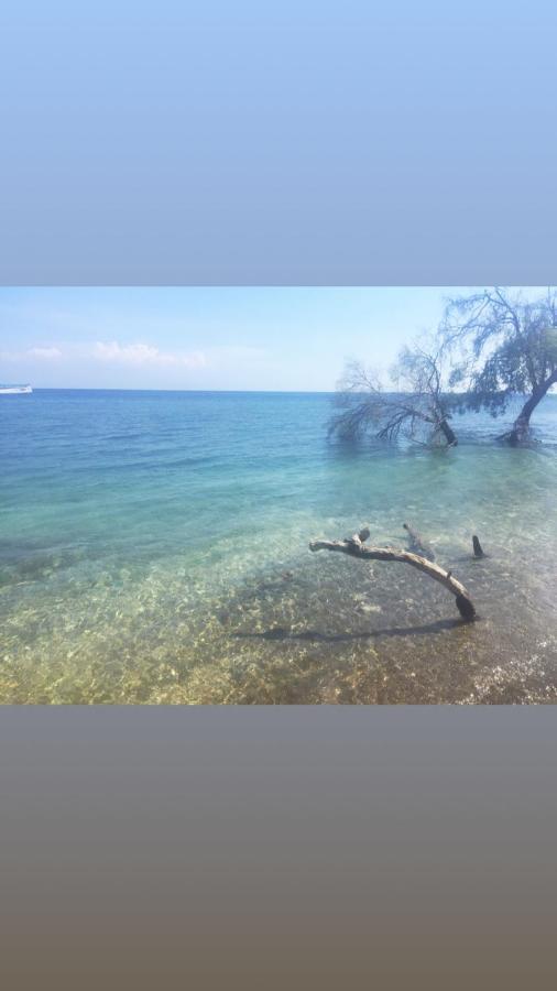 Maleo Moyo Hotel & Dive Resort Moyo Island Zewnętrze zdjęcie