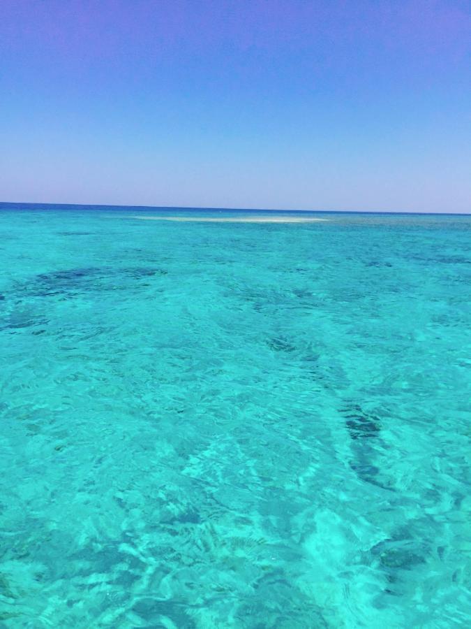 Maleo Moyo Hotel & Dive Resort Moyo Island Zewnętrze zdjęcie