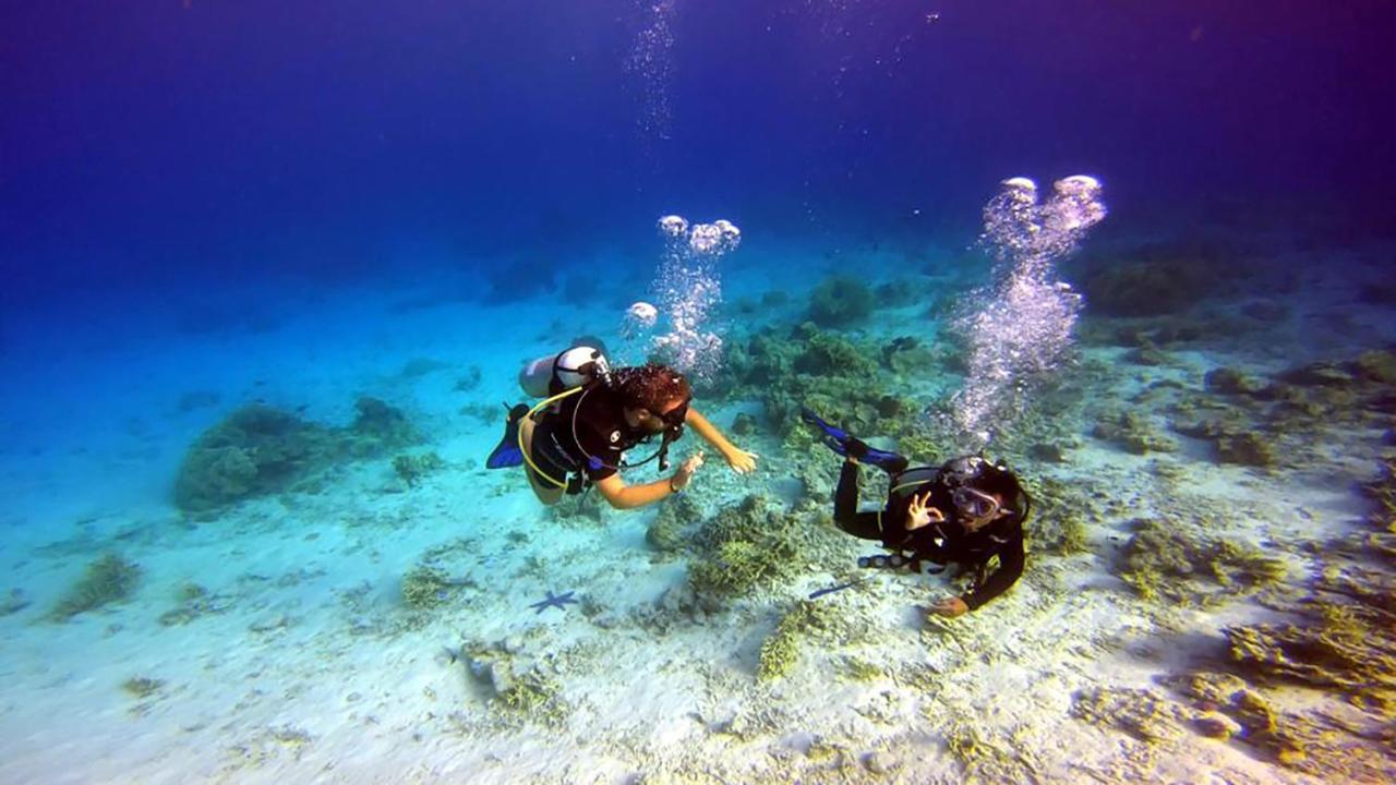 Maleo Moyo Hotel & Dive Resort Moyo Island Zewnętrze zdjęcie