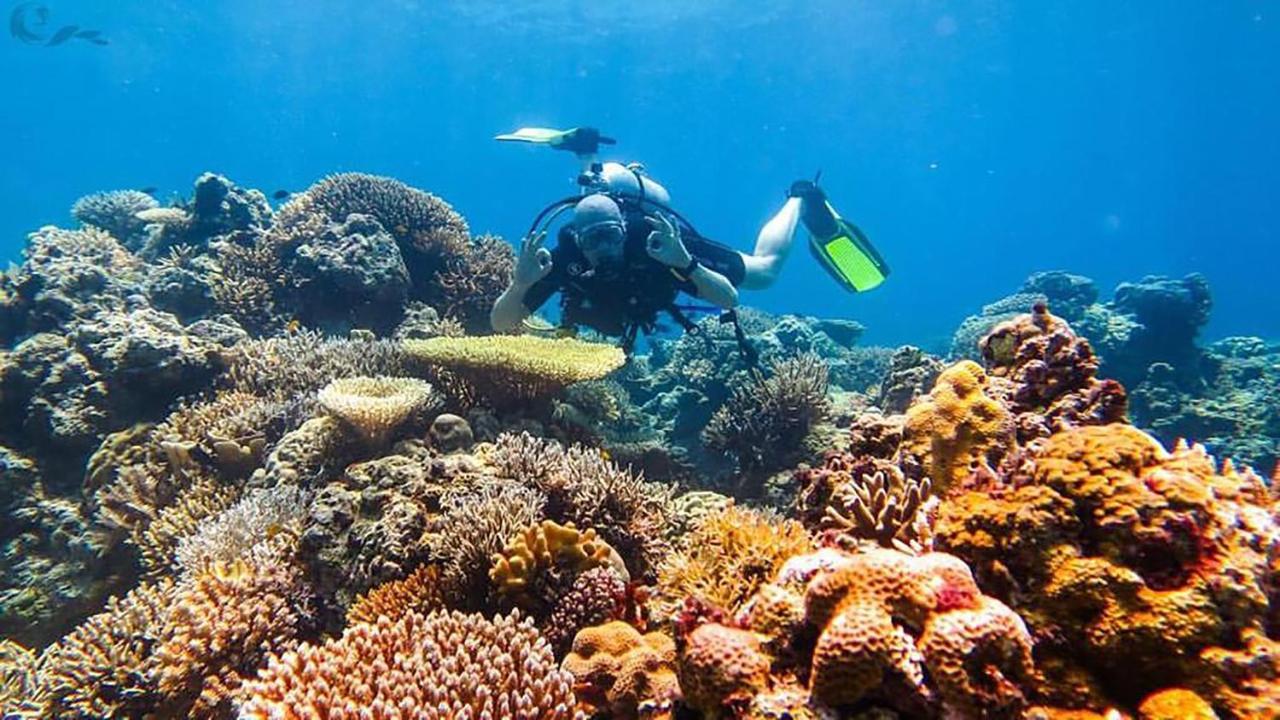 Maleo Moyo Hotel & Dive Resort Moyo Island Zewnętrze zdjęcie